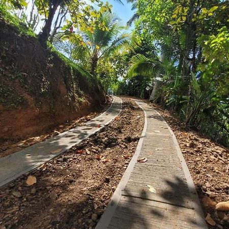 Private Jungle “Loft Del Rio” River Access Uvita Exterior photo