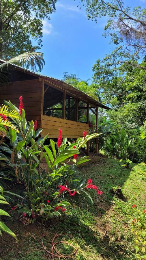 Private Jungle “Loft Del Rio” River Access Uvita Exterior photo