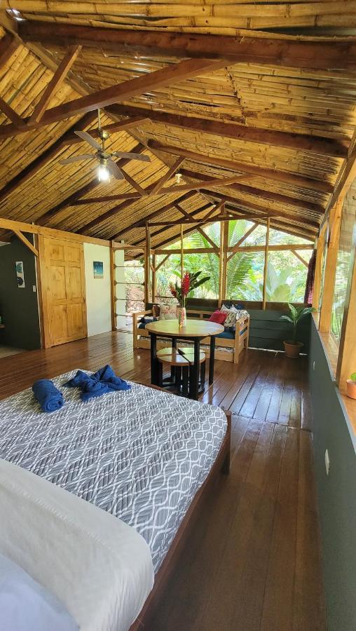 Private Jungle “Loft Del Rio” River Access Uvita Exterior photo