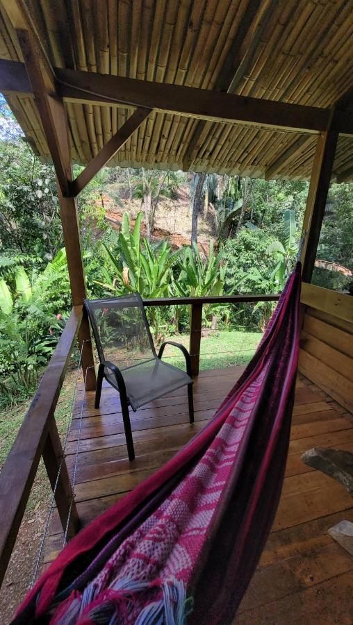 Private Jungle “Loft Del Rio” River Access Uvita Exterior photo