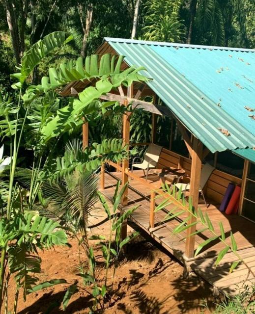 Private Jungle “Loft Del Rio” River Access Uvita Exterior photo