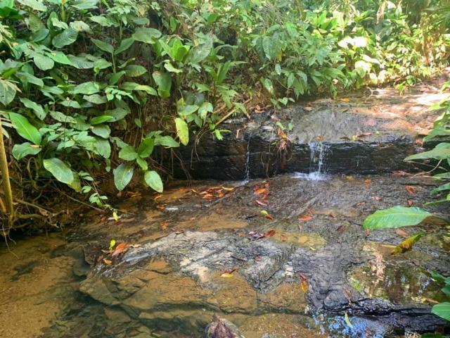Private Jungle “Loft Del Rio” River Access Uvita Exterior photo